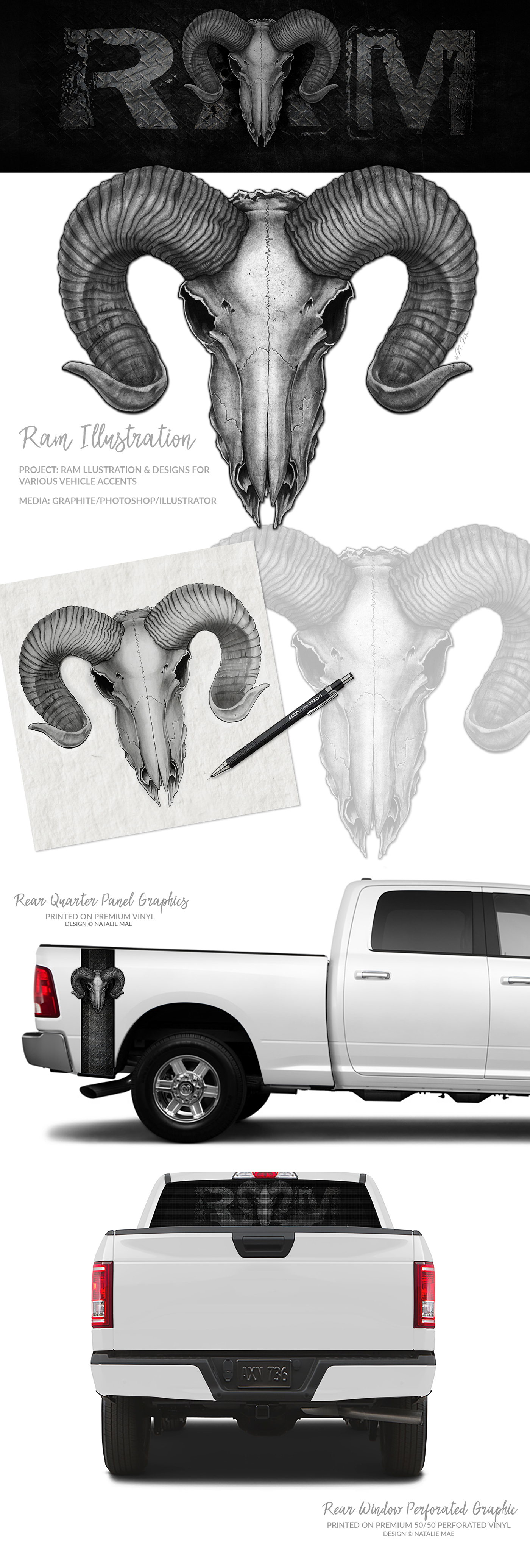 ILLUSTRATION  design Vehicle Accents vinyl Skull art Ram skull graphic design  photoshop Nature Pencil Art