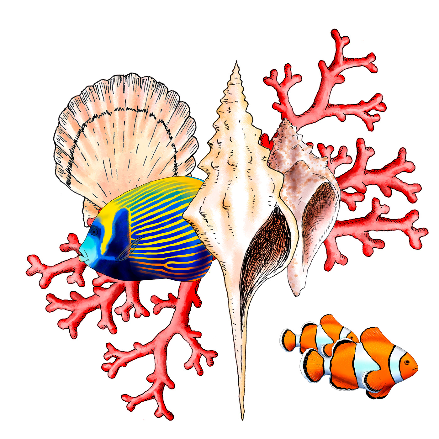 sea sealife Ocean fish water beach Nature coral underwater Digital Art 
