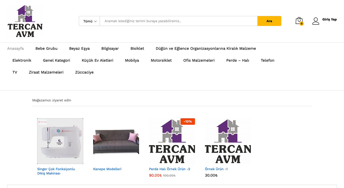 design e-commerce store web site wordpress