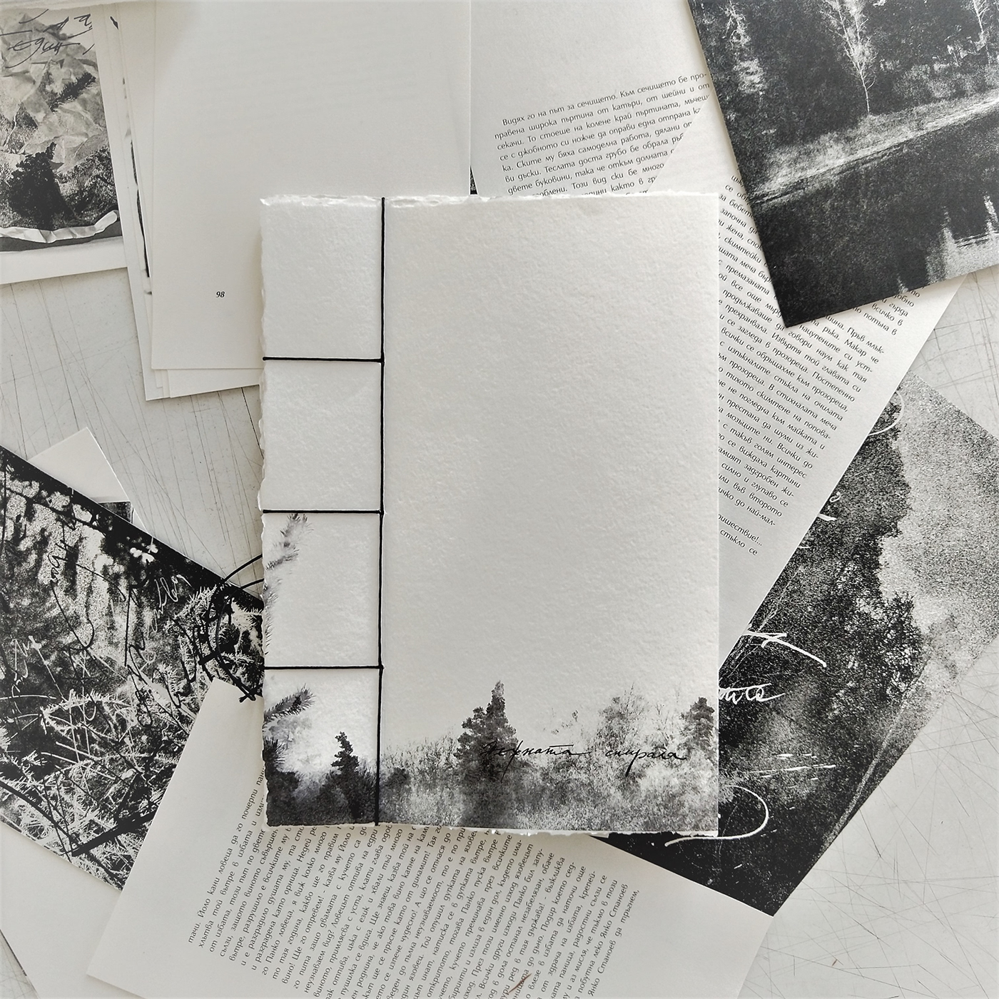 ILLUSTRATION  book design Photography  handwritting Nature black and white book artbook radichkov