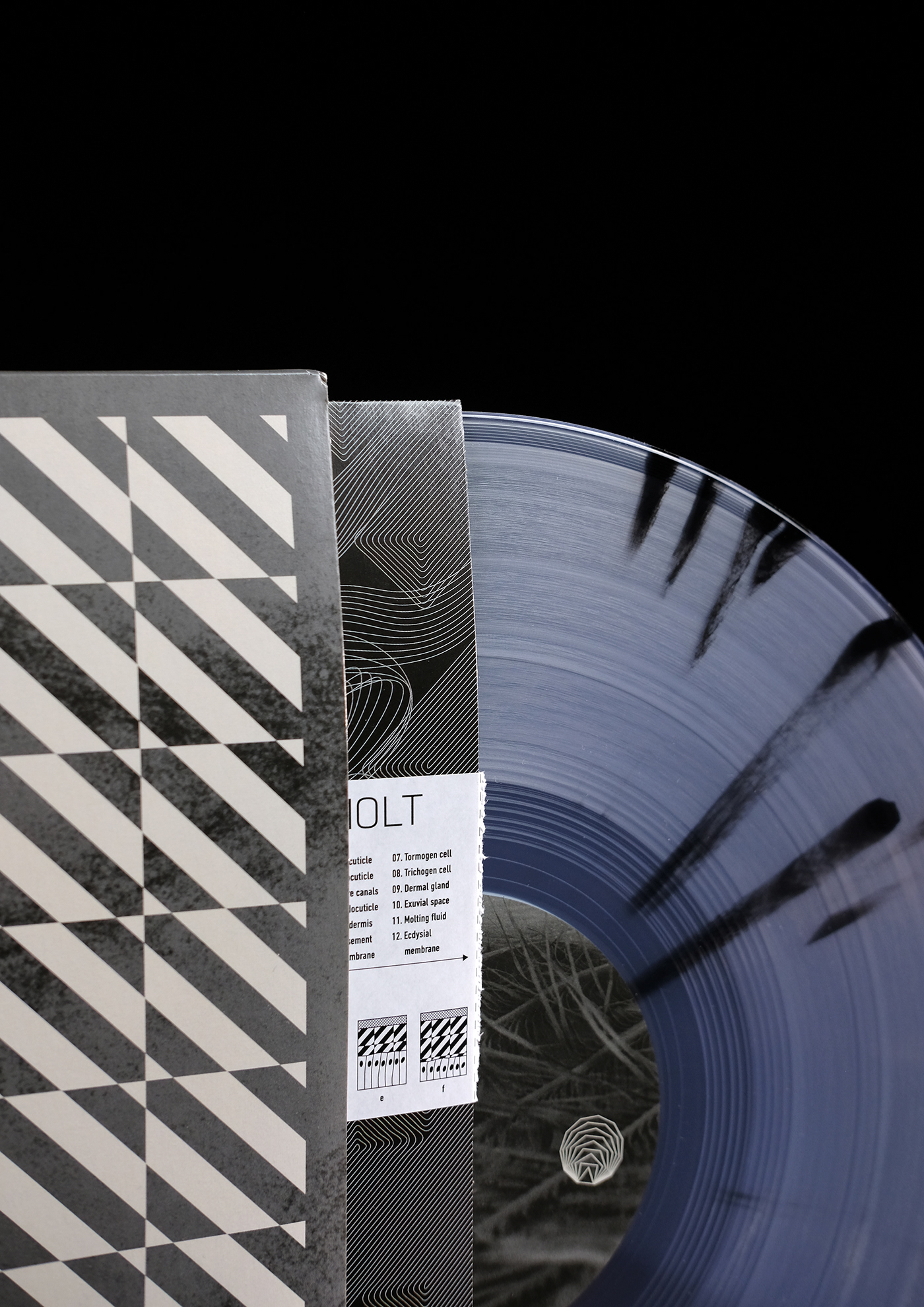 abstract ArtDirection bass cover geometry graphicdesign mathematics music parametric vinyl