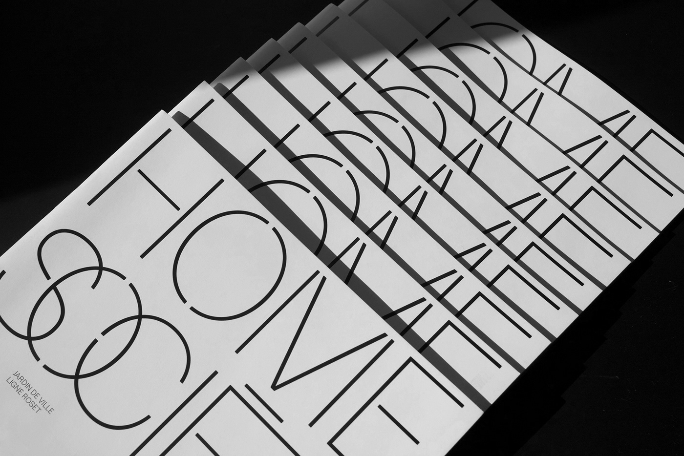 art direction  Booklet branding  brochure edition flyer furniture interior design  Photography  typography  