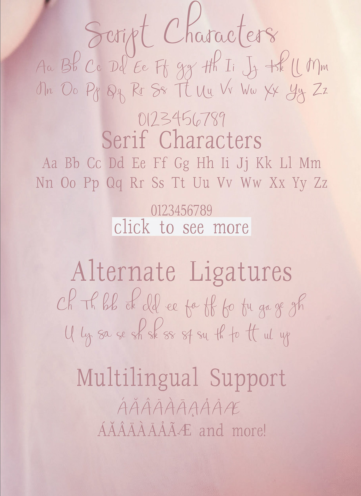 font letters Script brush handlettered Handlettering handletter serif elegant classy