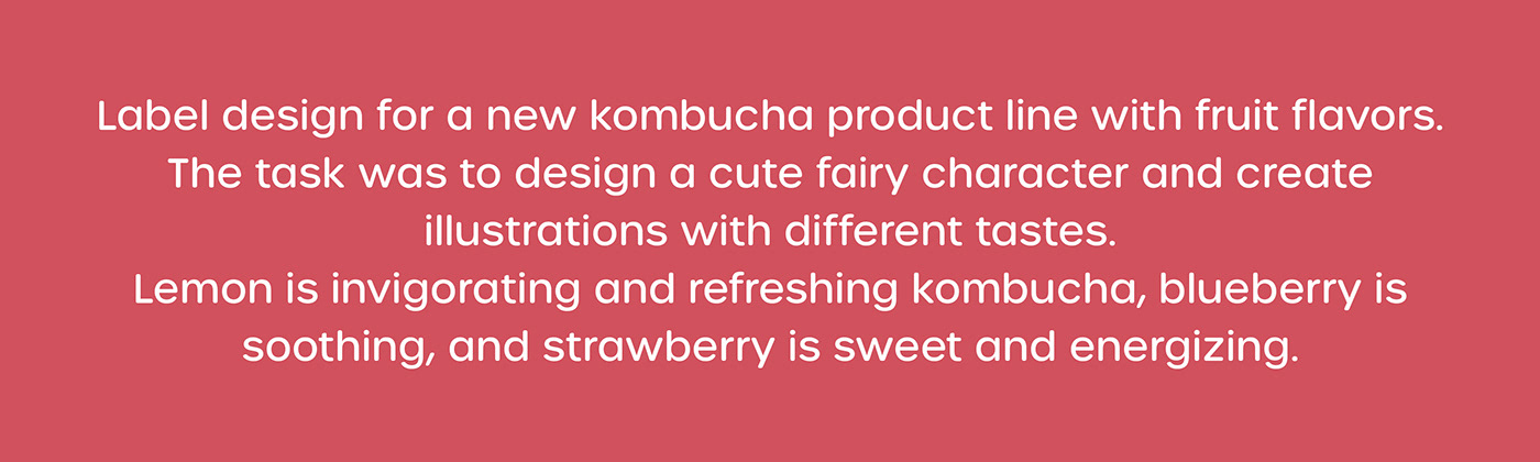 adobe illustrator Character design  children illustration digital illustration drink kombucha logo packaging design product design  visual identity