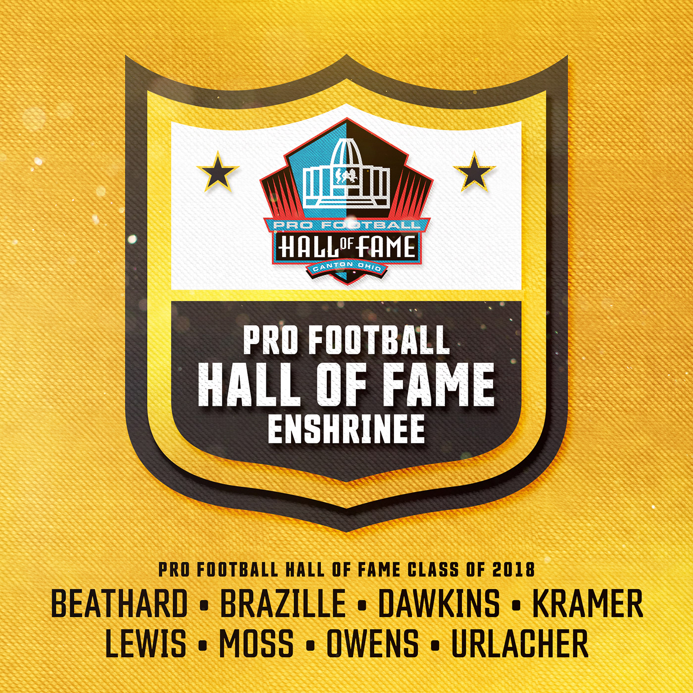 nfl Hall of Fame football urlacher Randy Moss terrell owens dawkins Sports Design canton