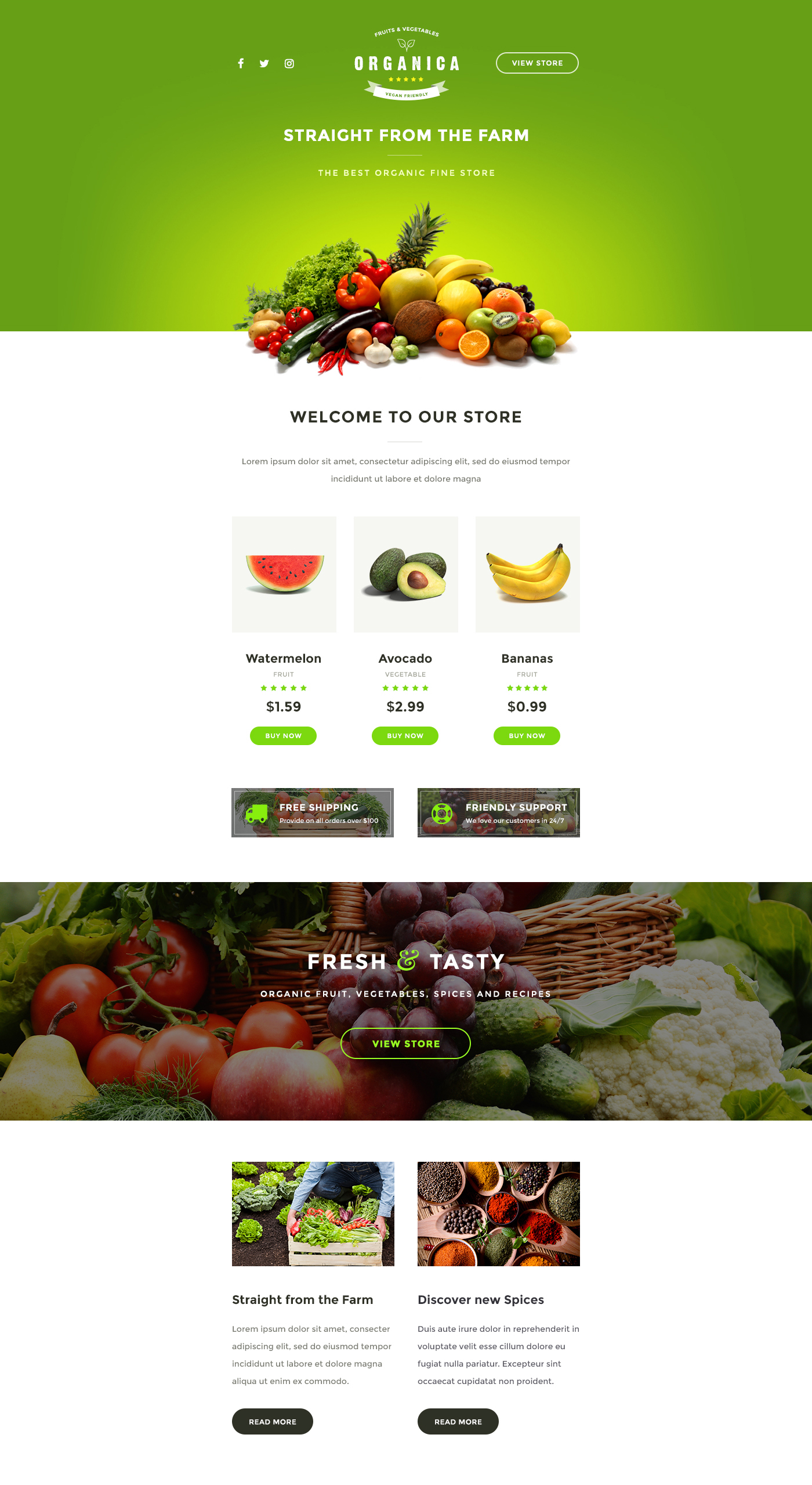 Email enewsletter online editor organic Food  Ecommerce store HTML stampready Litmus