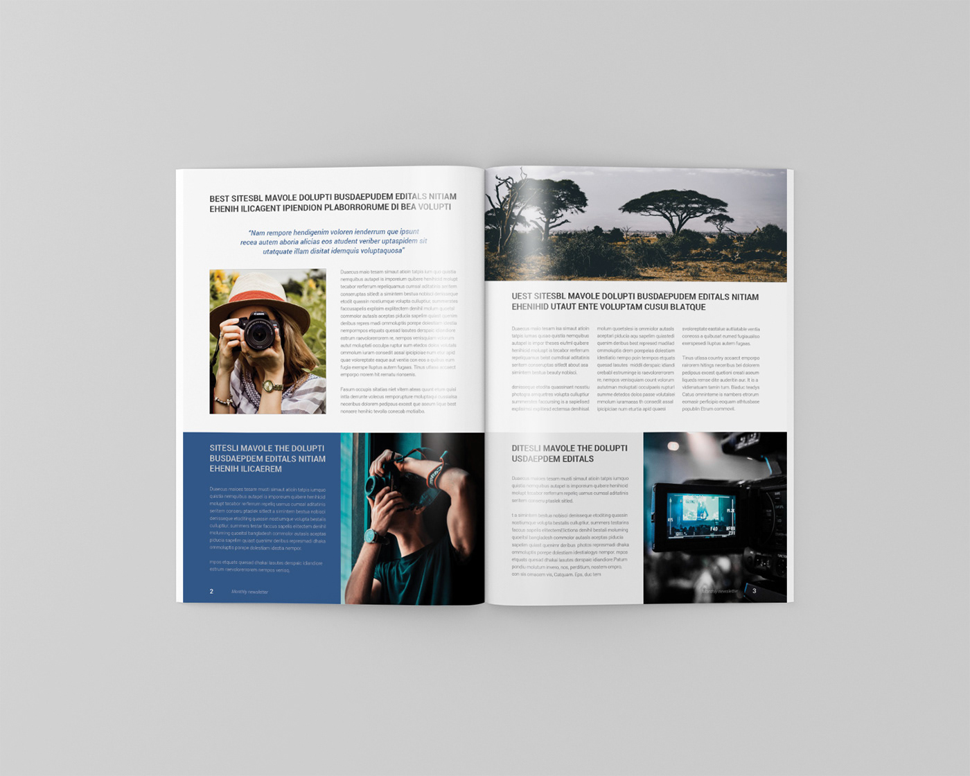 brochure business corporate creative design InDesign informational journal newsletter print