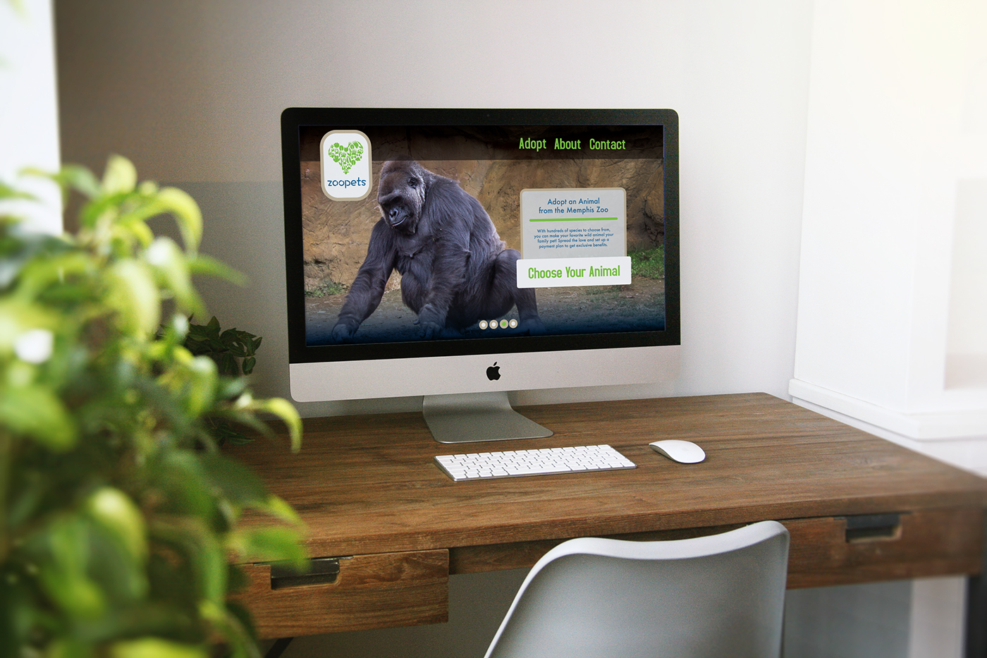 zoo desktop mobile tablet pets social media Photography  Web Design  logo