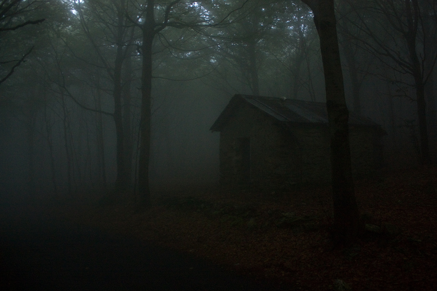 landscapes dark darkness woods Italy creepy fear foggy