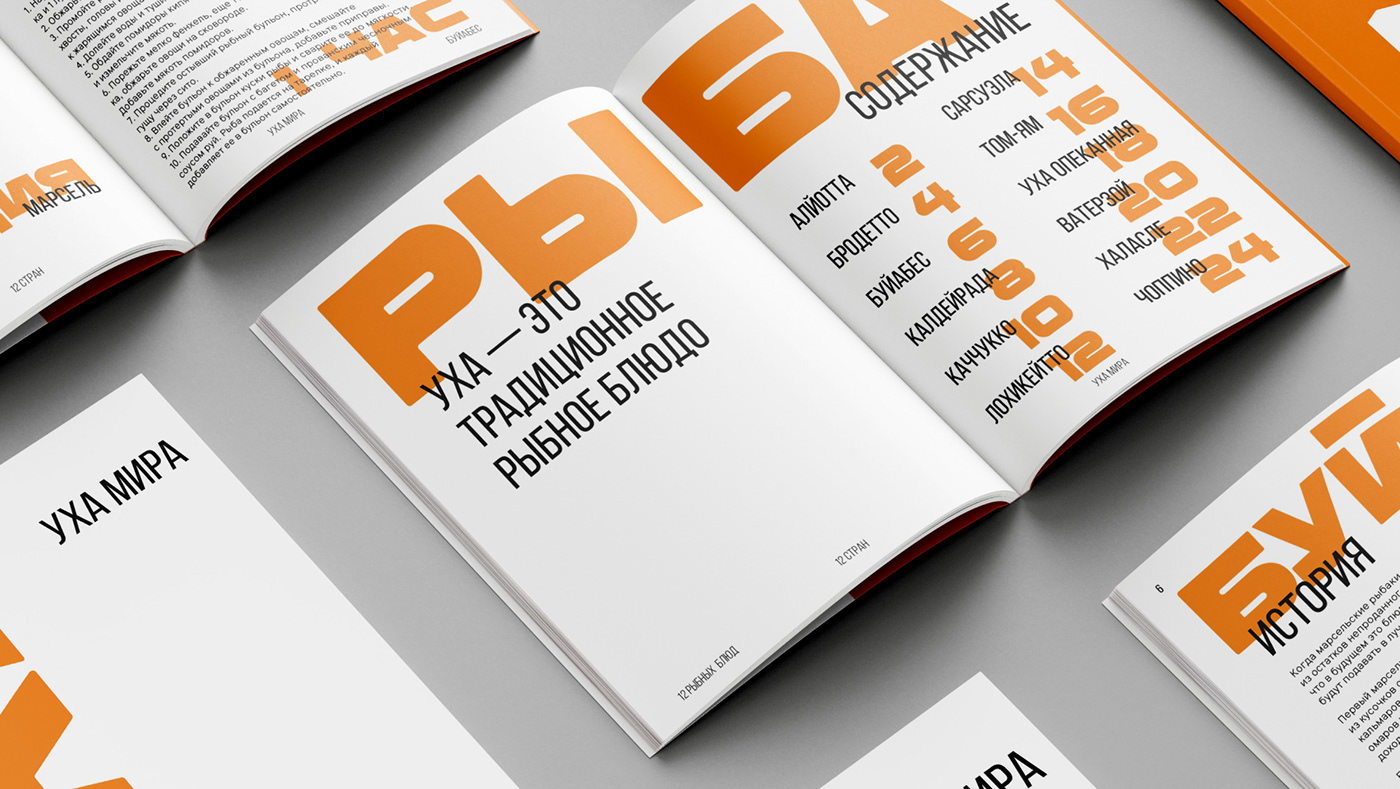 book cover design Layout typography   верстка книги графический дизайн Дизайн обложки Обложка книги уха