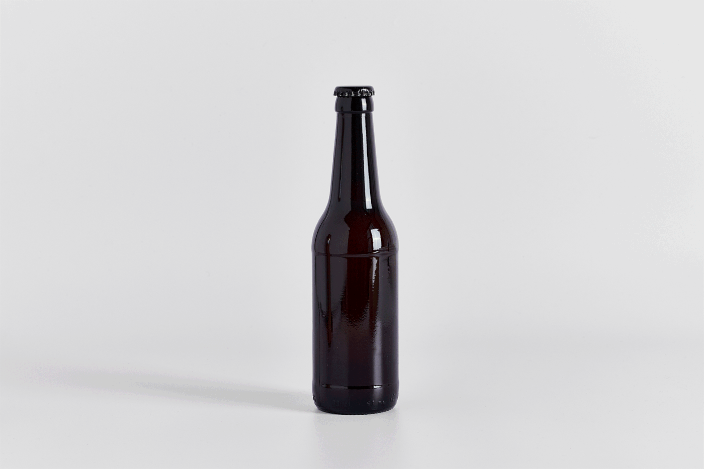 beer bottle cerveza design Label lettering logo Packaging