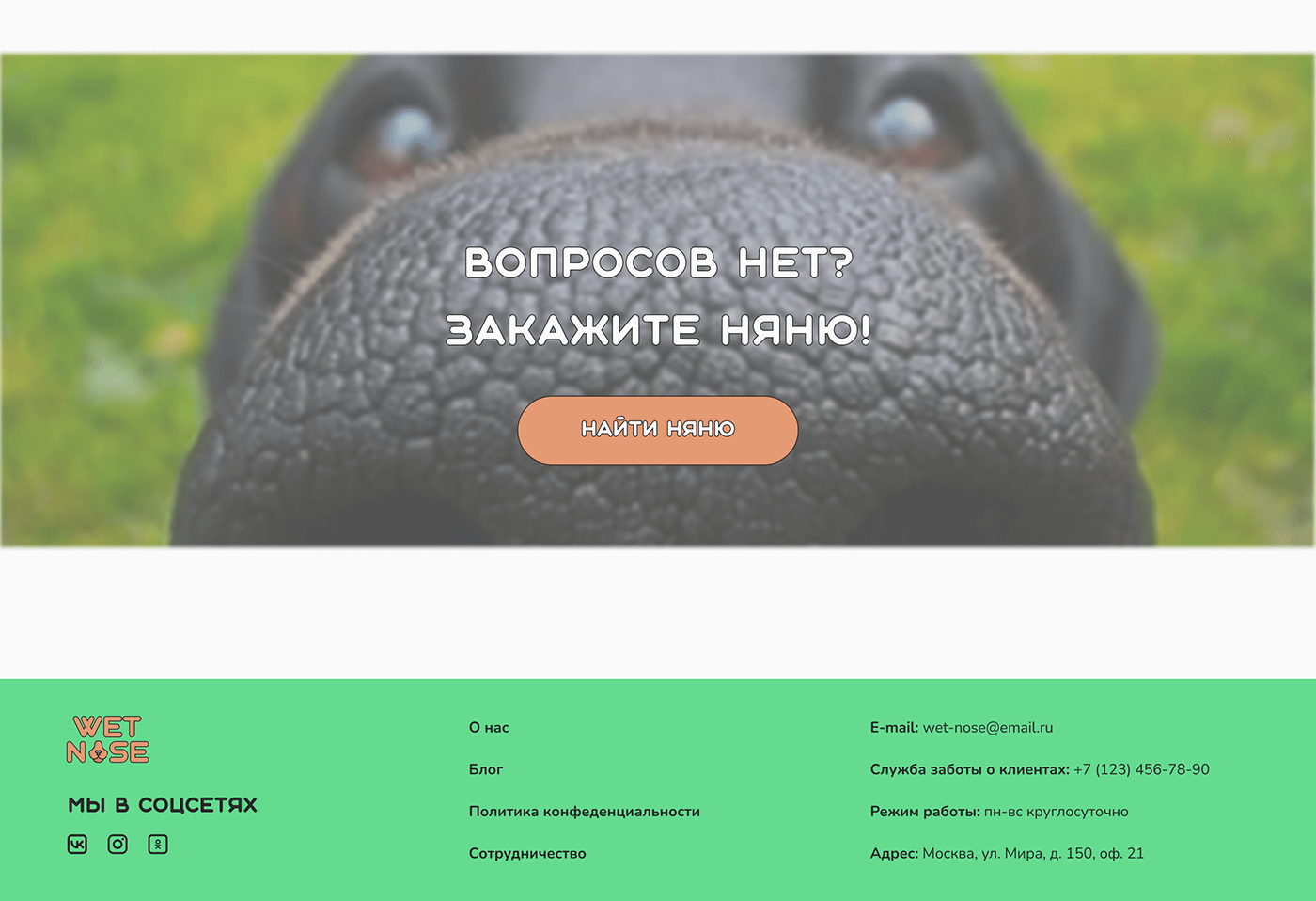 design dog Figma landing page prototype Web Design 