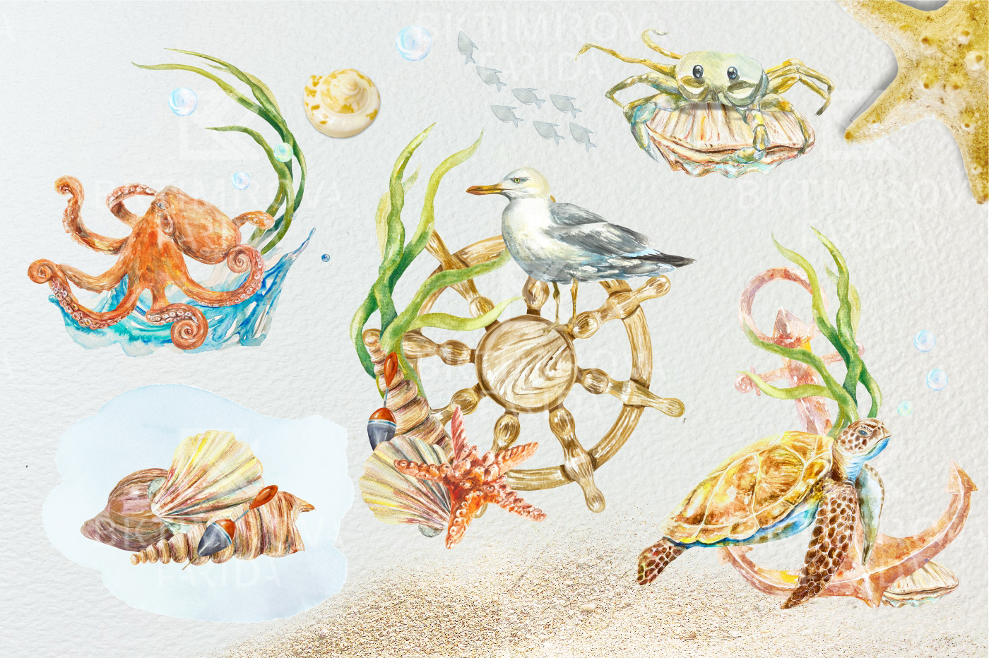 sea ILLUSTRATION  artwork watercolor Drawing  fish underwater marine Ocean beach
