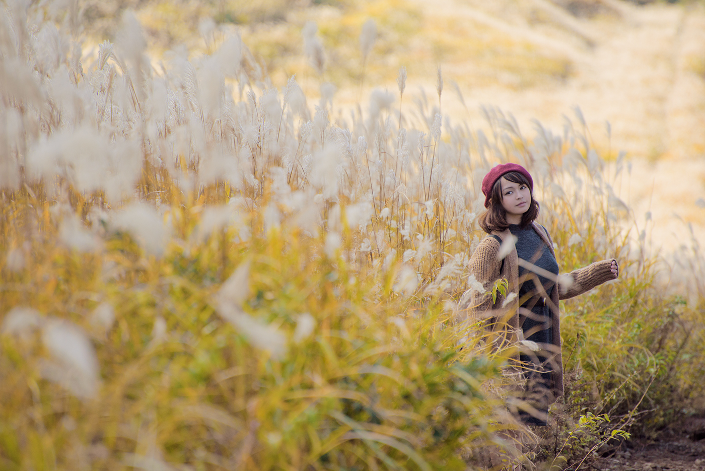 photo portrait woman model girl pretty Beautiful autumn golden grass