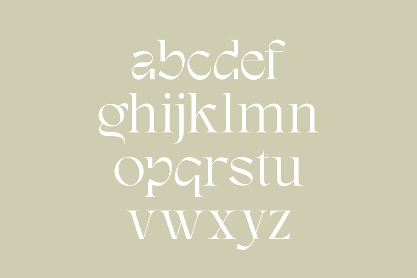 classic font classy serif display font Fashion Typeface ligature logo font Logotype modern font modern retro