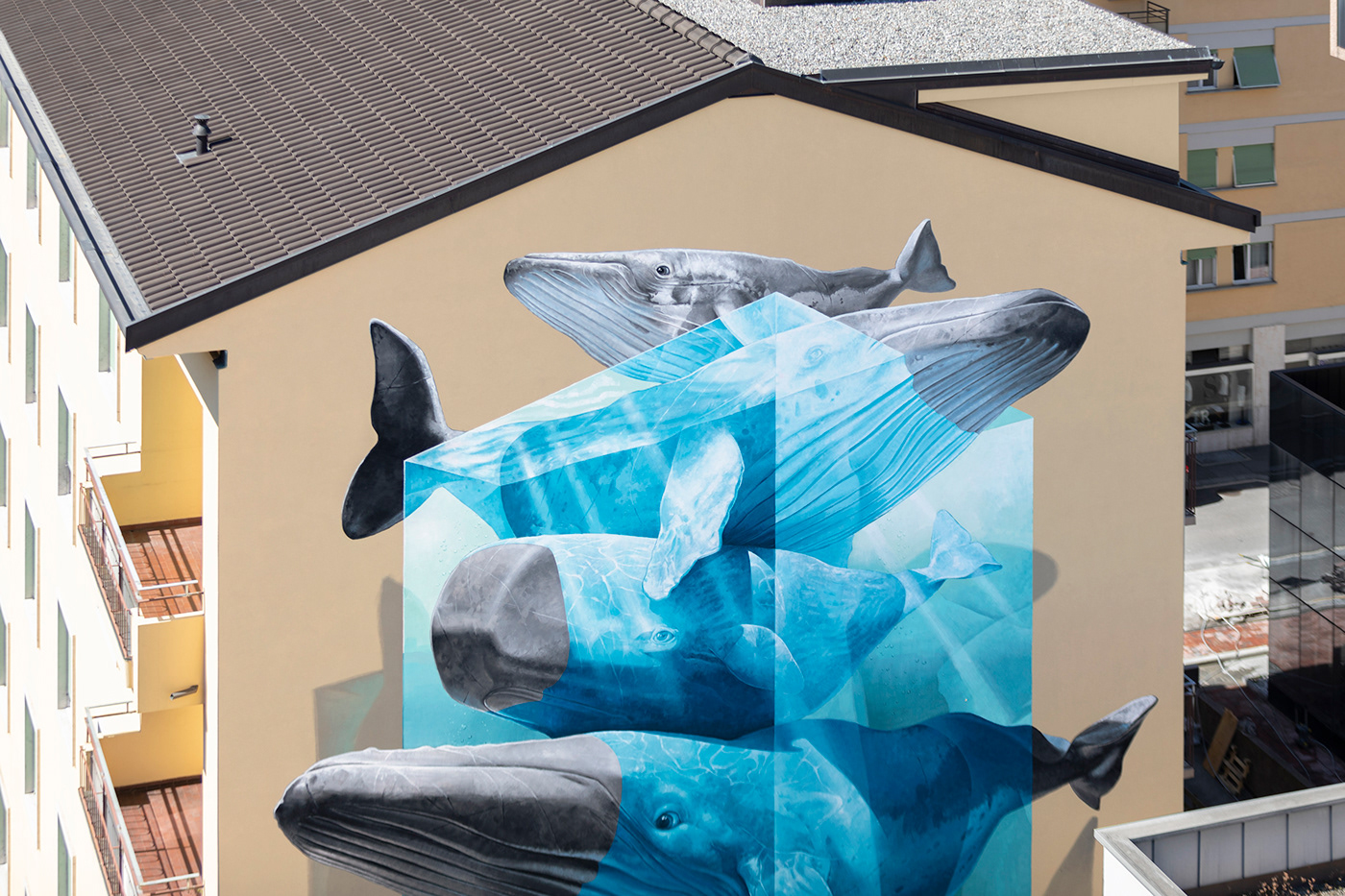 lugano nevercrew sperm whale Street Art  Switzerland underwater water section Whale