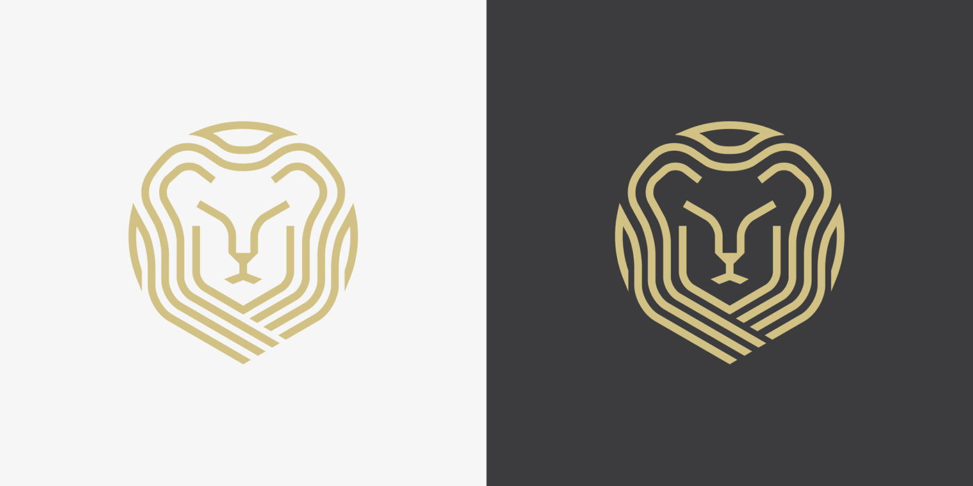 branding  identity brand gold Icon lion logo site Web Design  accounting