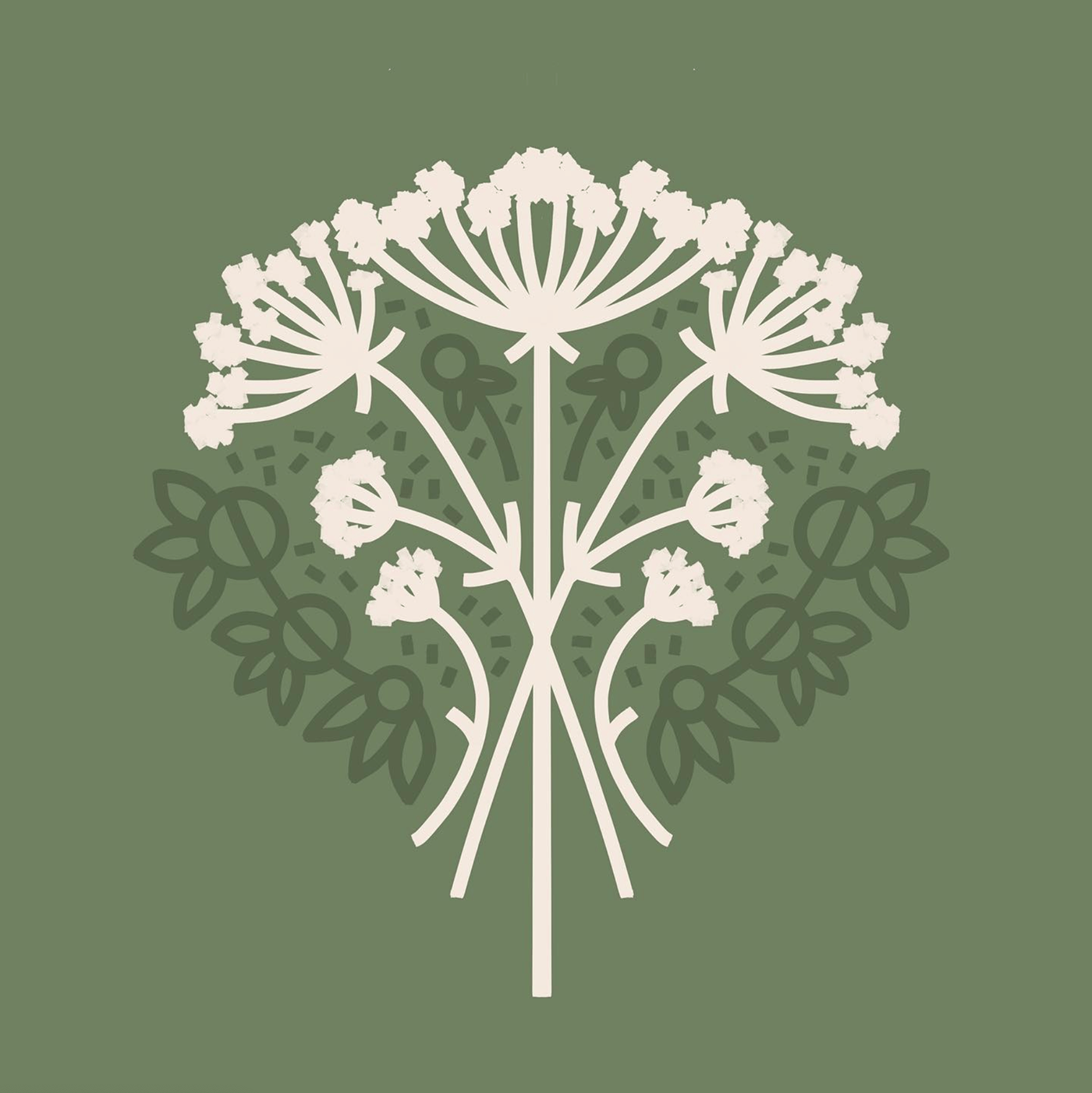 Queen Anne's Lace Flowers