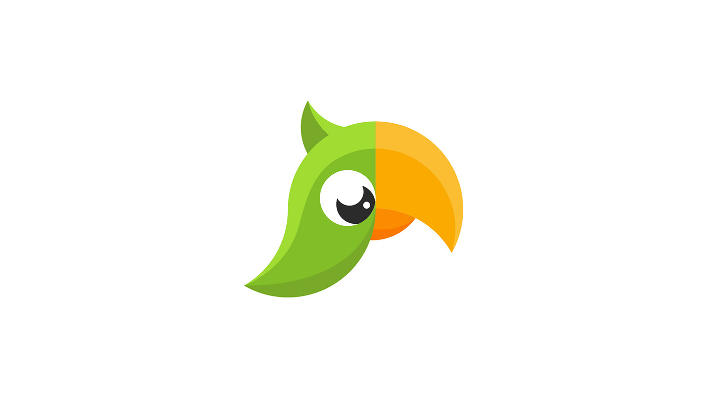 logo branding  parrot ILLUSTRATION  green yellow typography   Guide grid bird