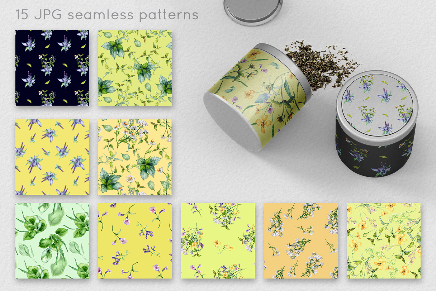 ILLUSTRATION  design herbs medicinal plants Packaging herbal tea watercolor Plantain Cosmetic celandine