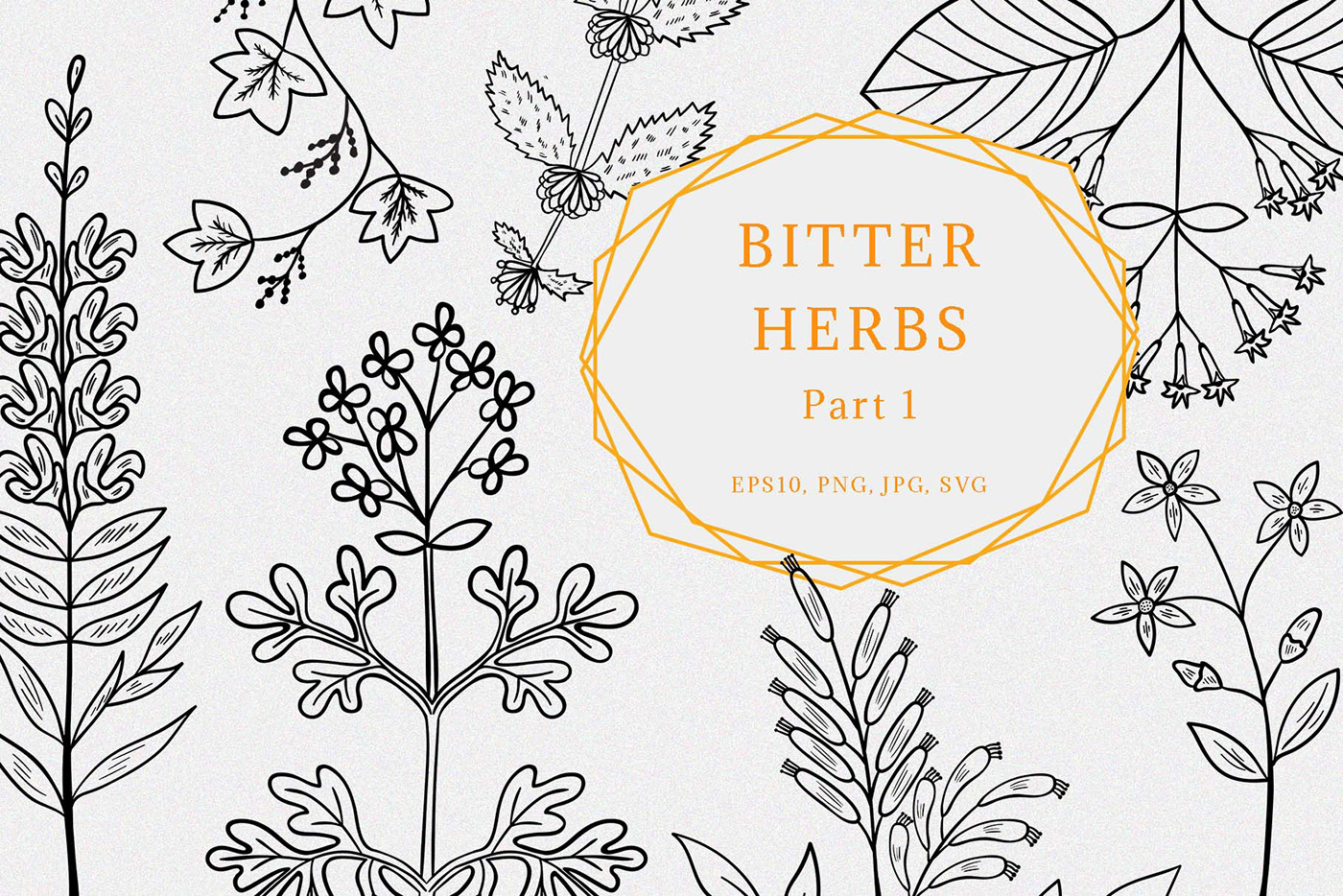 bitter Collection doodle hand draw herbal herbs medicine Nature organic sketch