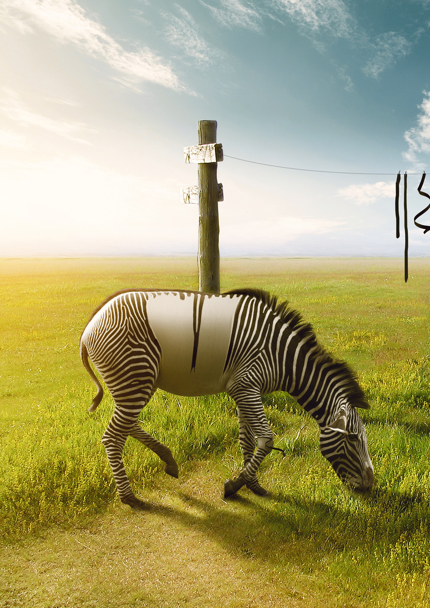 Washing manipulation retouch India zebra women creative Erik Johansson surreal Banksy's