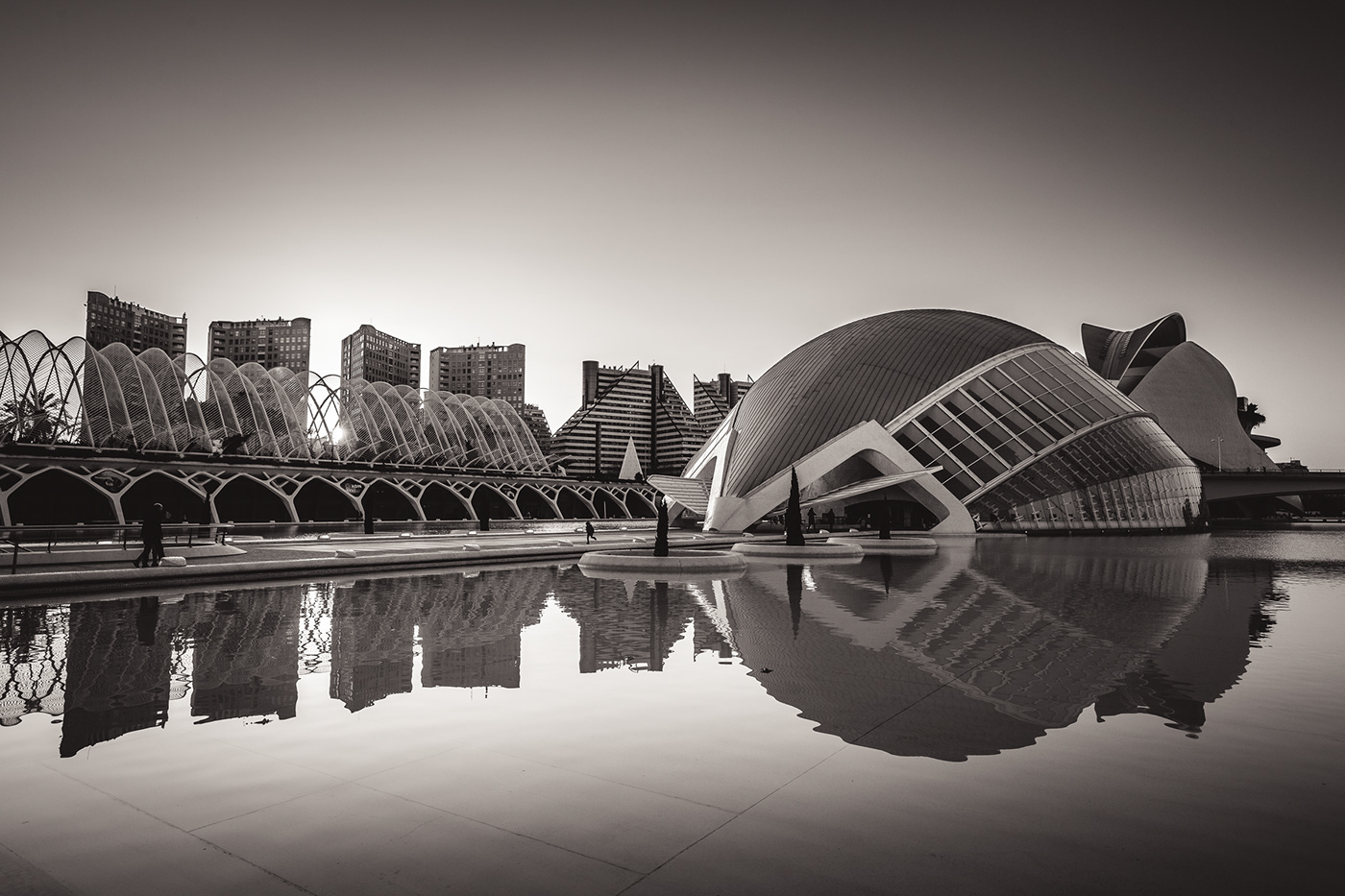 architecture architectural photography valencia black and white b&w monochrome Photography  City of Arts science