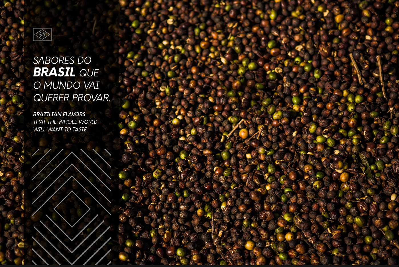 kurubi espinafre pedregulho Coffee brand Packaging branding  cafe
