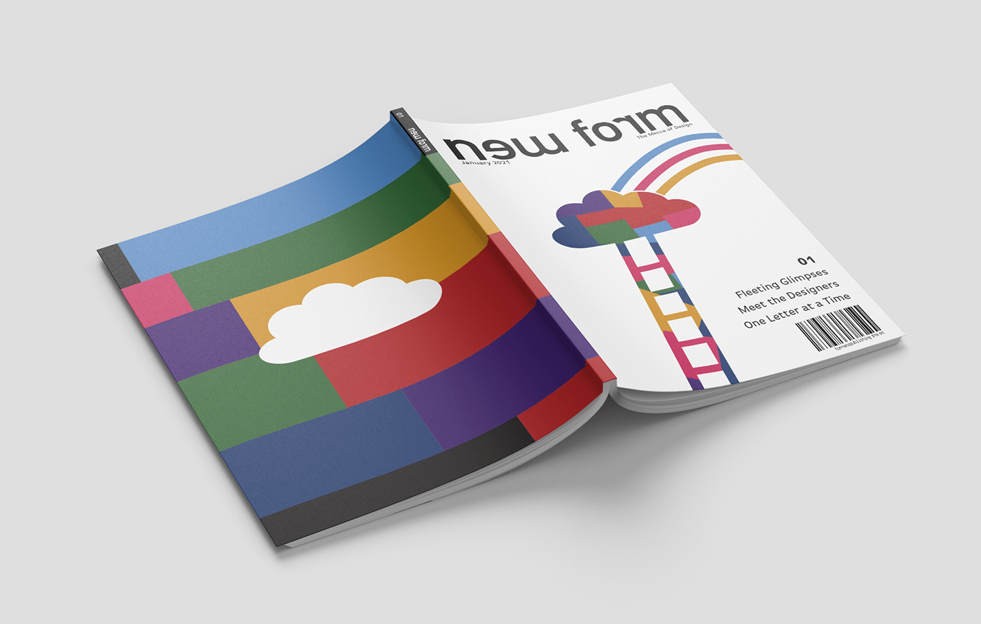 colour design Form grid Layout magazine media print typography   book