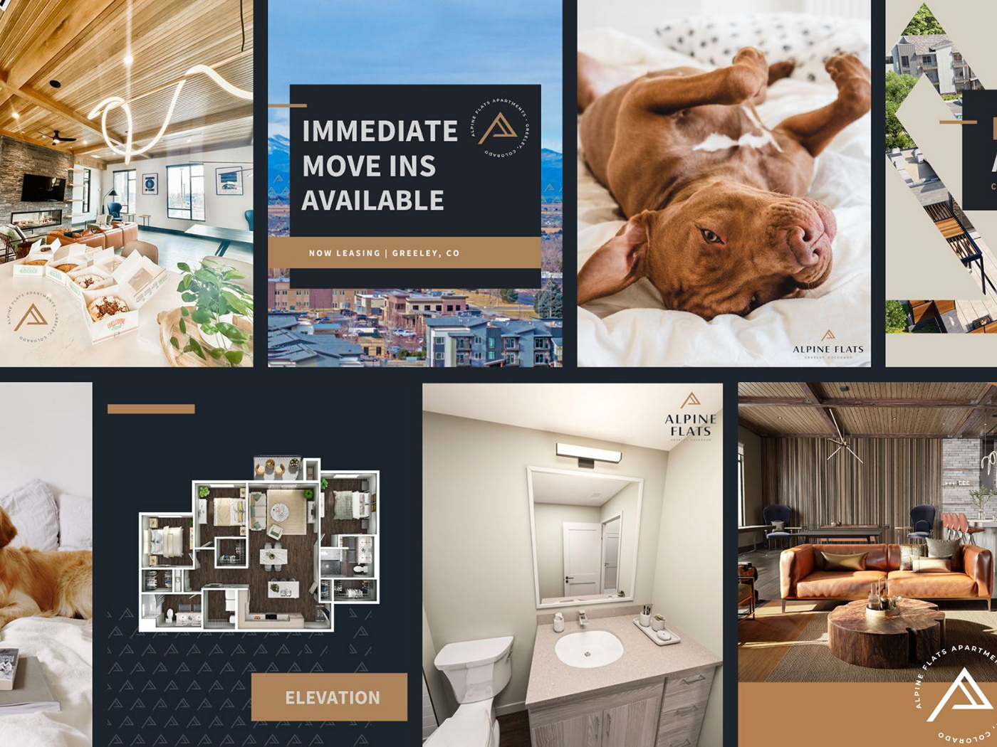 social media graphics for luxury apartment community

