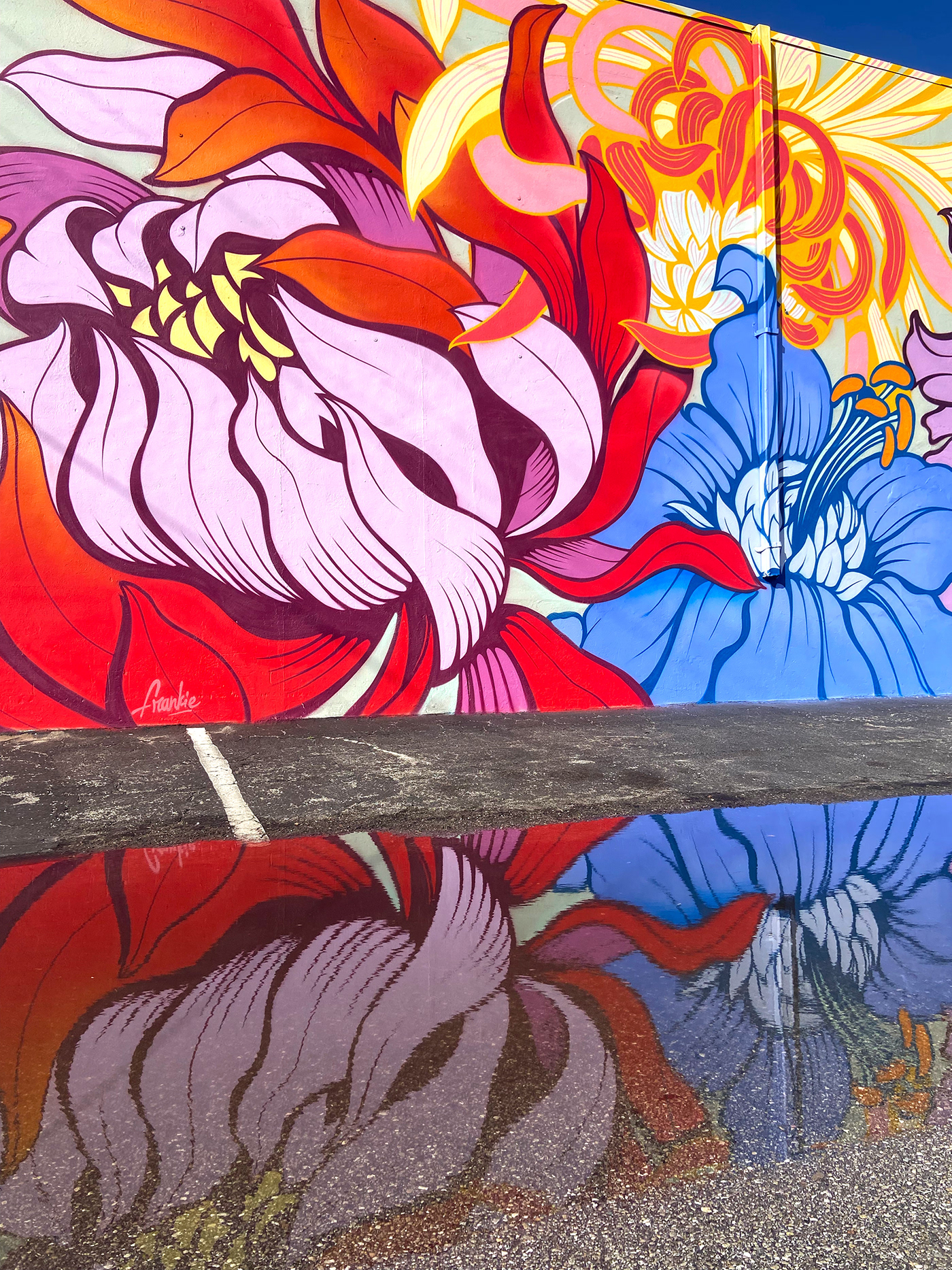 Mural mural art painting   wall art Muralist Street Art  spray paint Flowers floral Big Wall