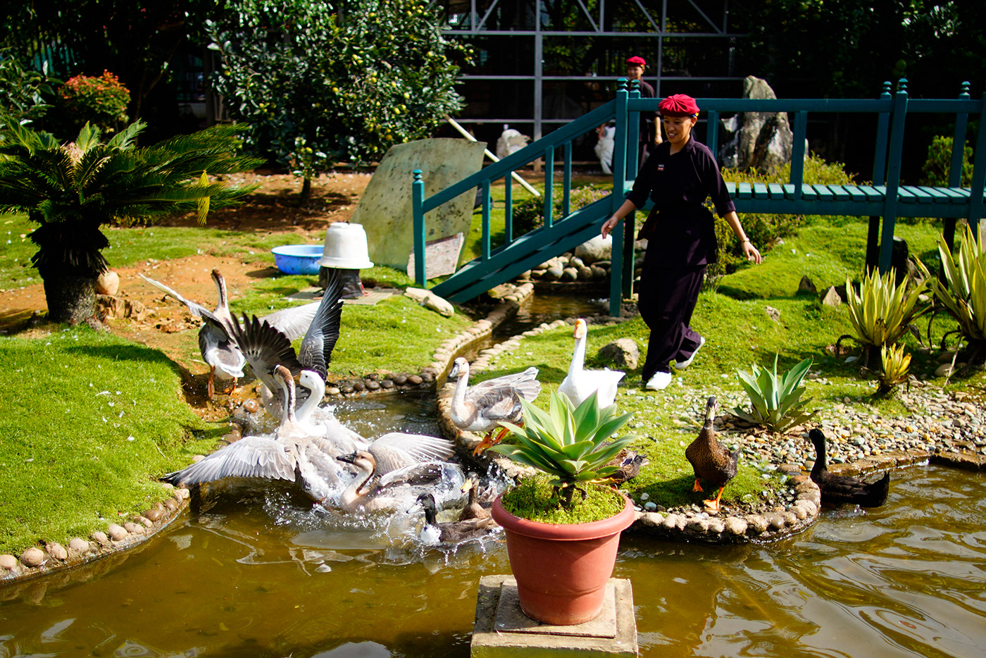 Outdoor Photography  portrait kathmandu nepal culture kungfu nuns asia people