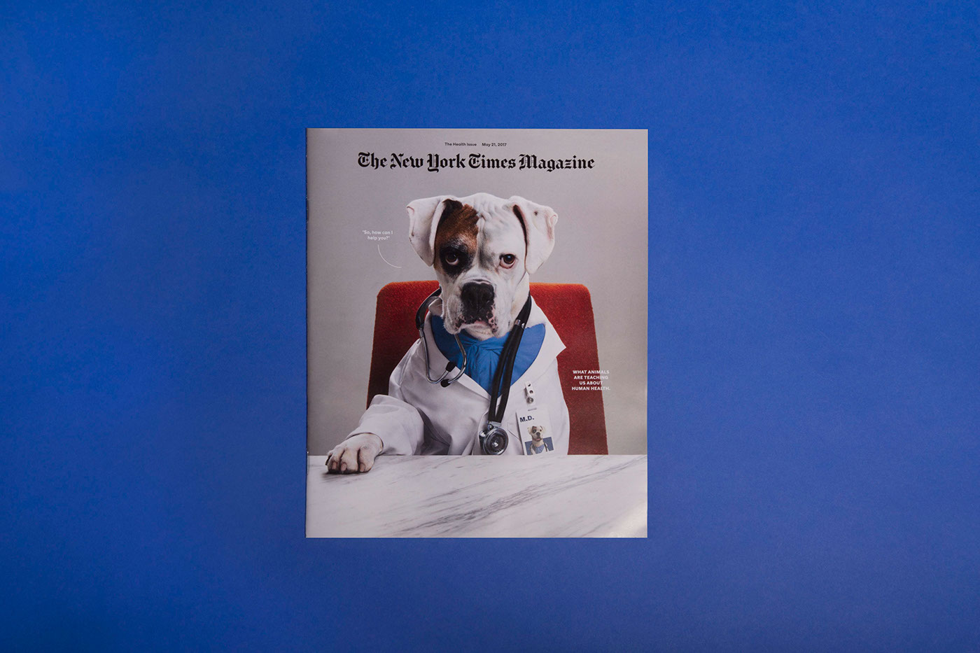set design  Prop Styling New York Times sagmeister jessica walsh arielle casale cats dogs doctors Health