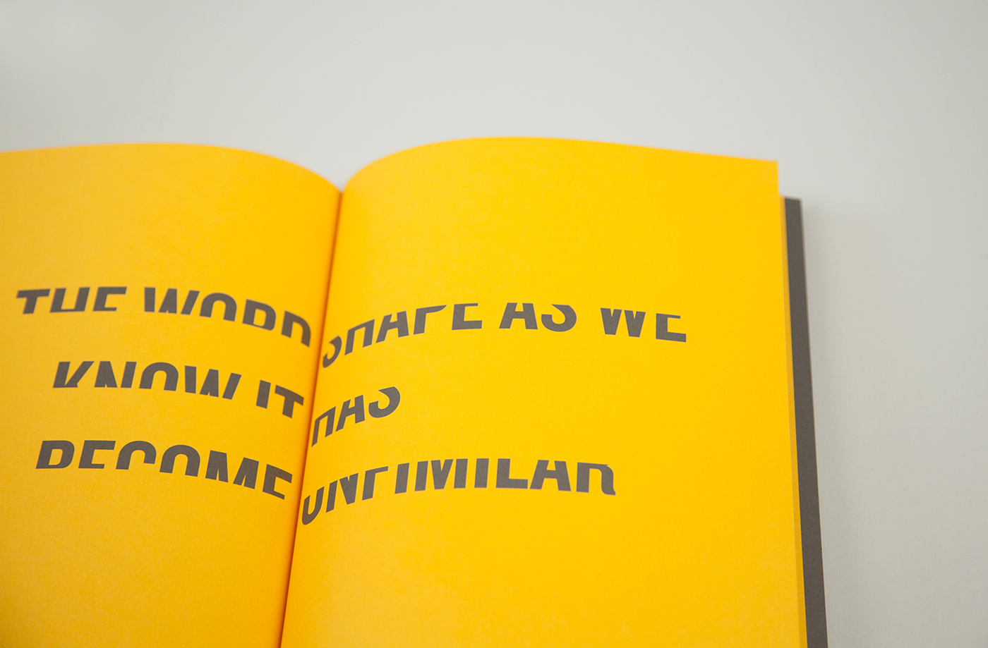 istd Book still? type dyslexia book print