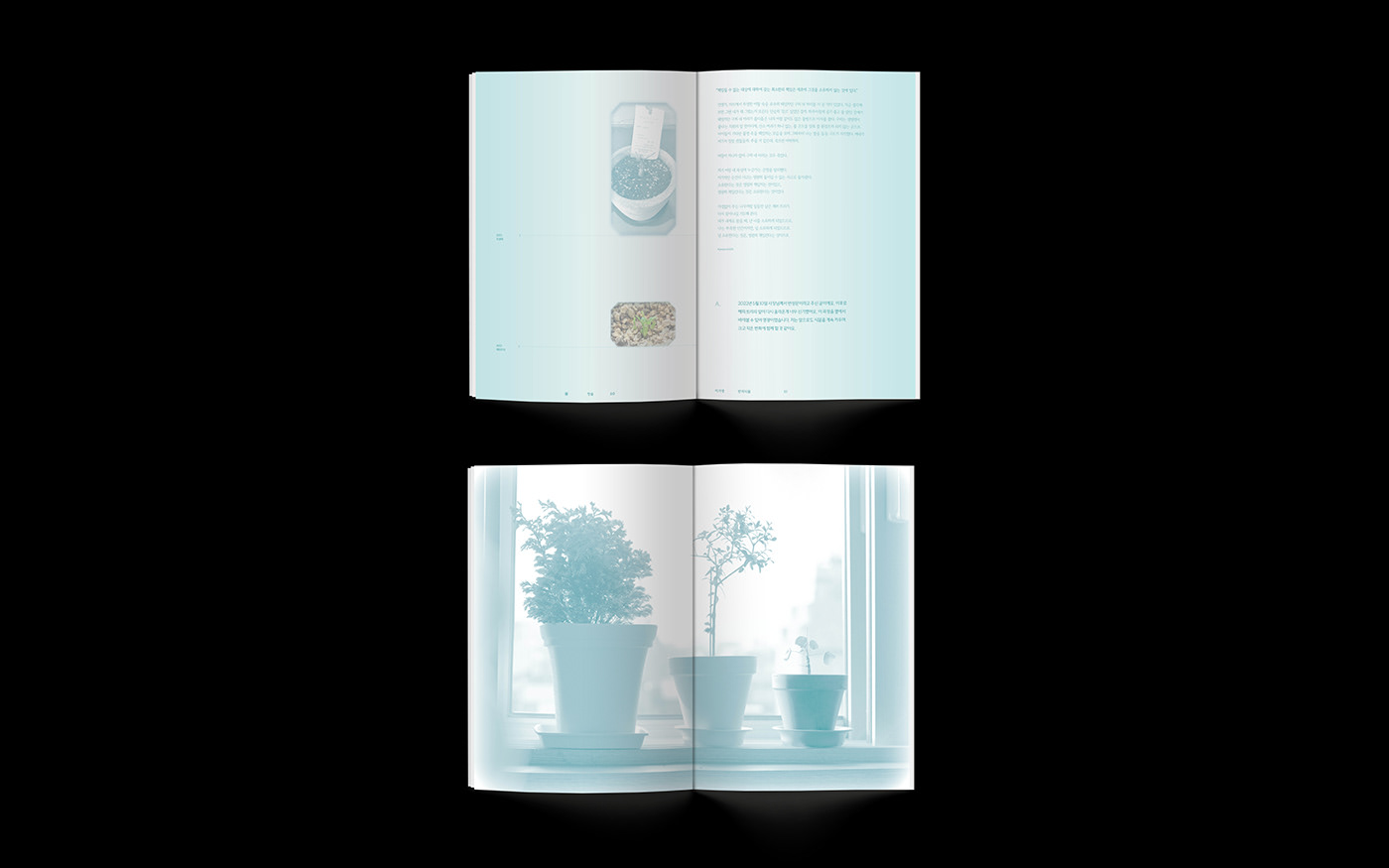 digitalpublishing interview hknudesign 소나무 book design 편집디자인 북디자인 InDesign