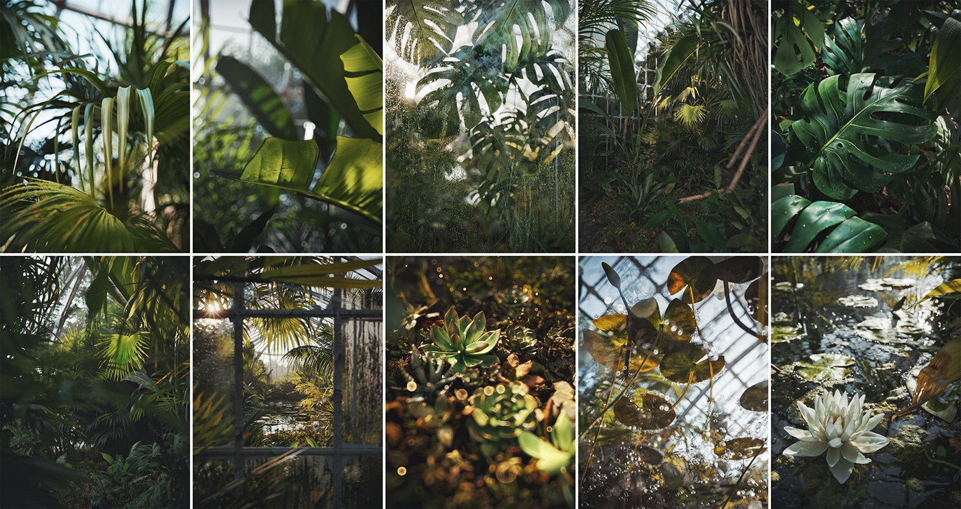botanical CGI garden greenery HDRI Moody Nature Renders Sunny visualizations