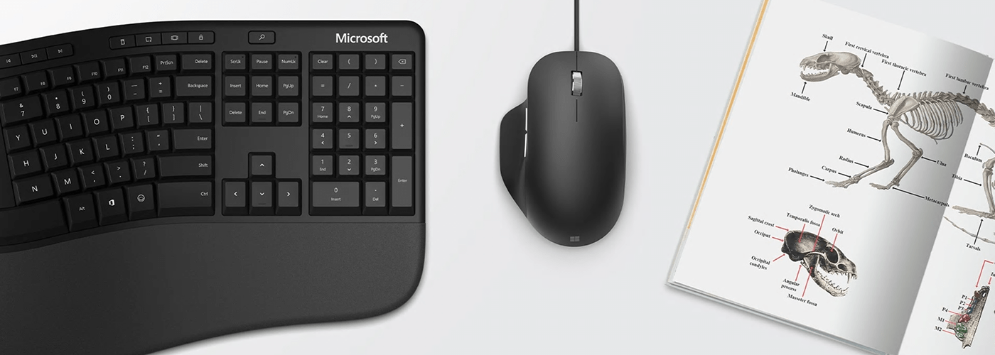 design Ergonomic mouse industrial design  Microsoft product design  工效学鼠标 마우스 제품 디자인