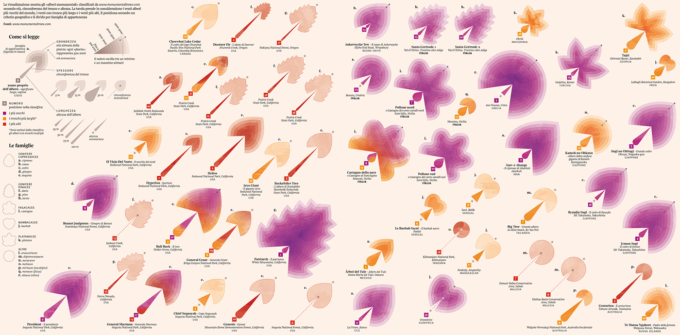 Tree  green dataviz DATAVISUALIZATION forest leafs autumn Fall lalettura red