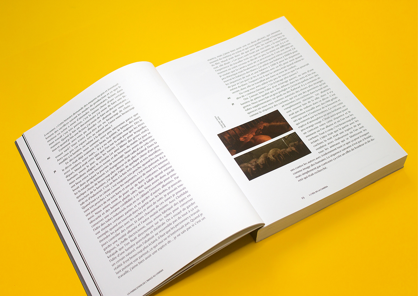 book book design book cover Graphic Designer editorial design  design editorial couverture mise en page Layout print