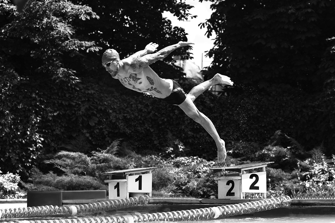 lifestyle Pool speed sport sports summer swim swimming training water