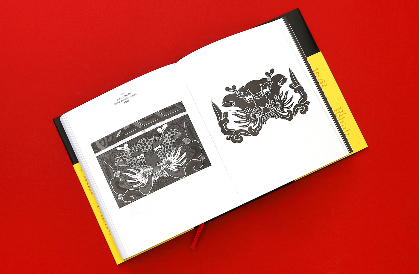 book book cover book design editorial editorial design  graphic design  graphics typography  