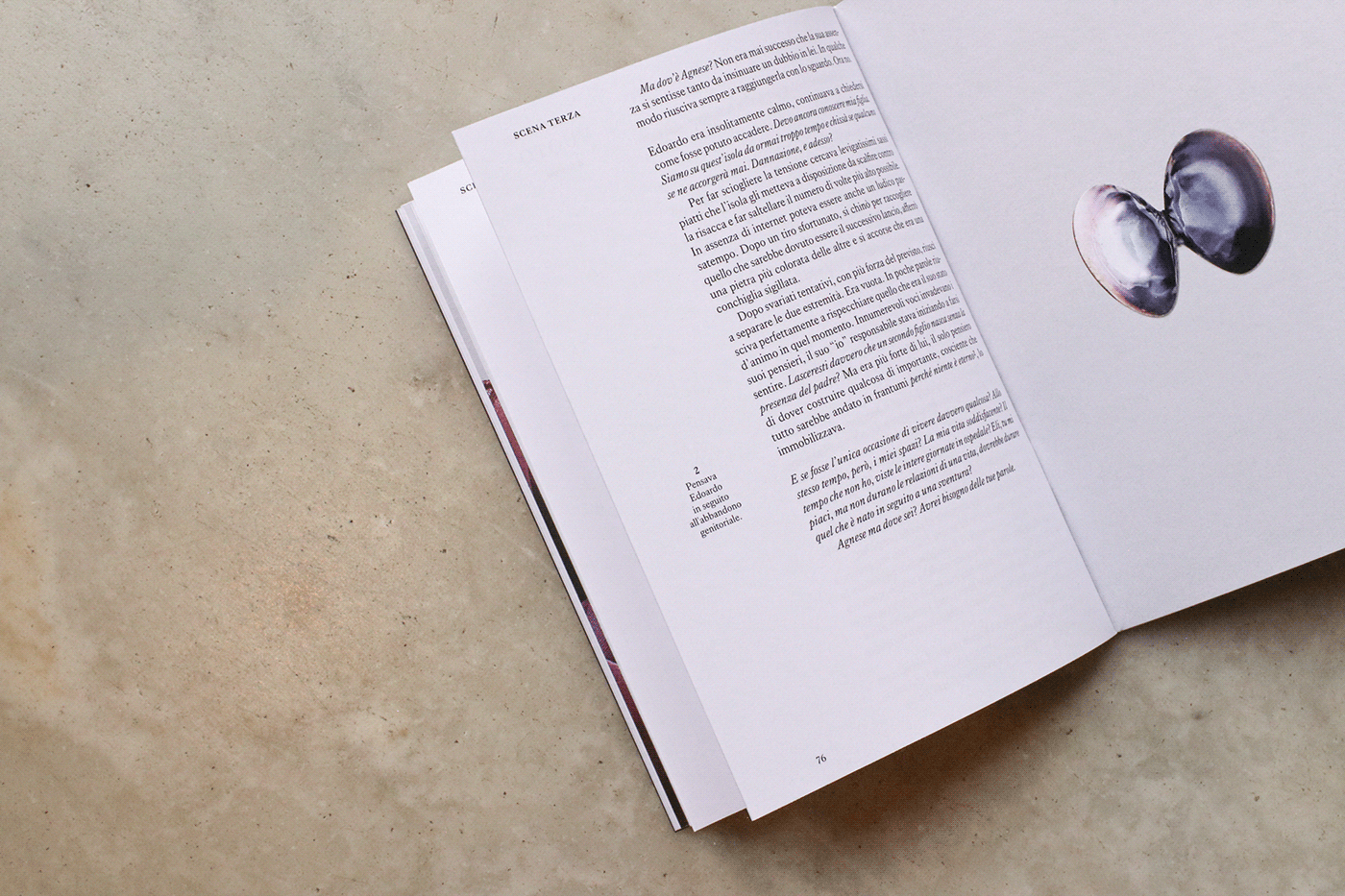book editorial design  graphic design  InDesign Layout narrative paper print
