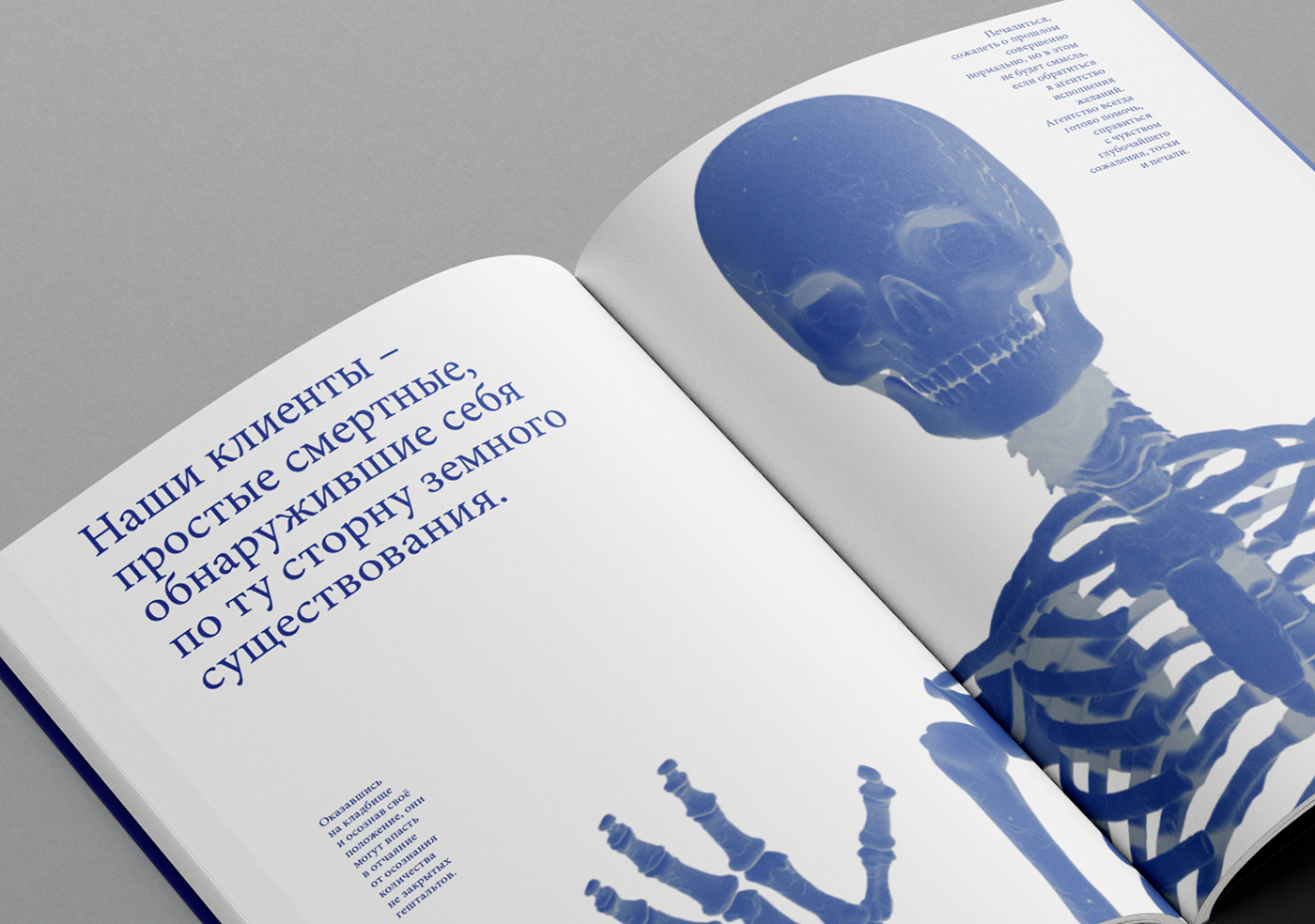 book design Graphic Designer 3D blender InDesign wishes книга верстка дизайн
