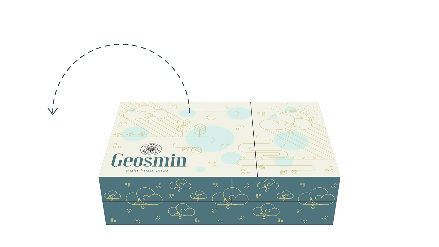 Packaging branding  rain indian graphic design  perfume Logo Design colours packaging illustration