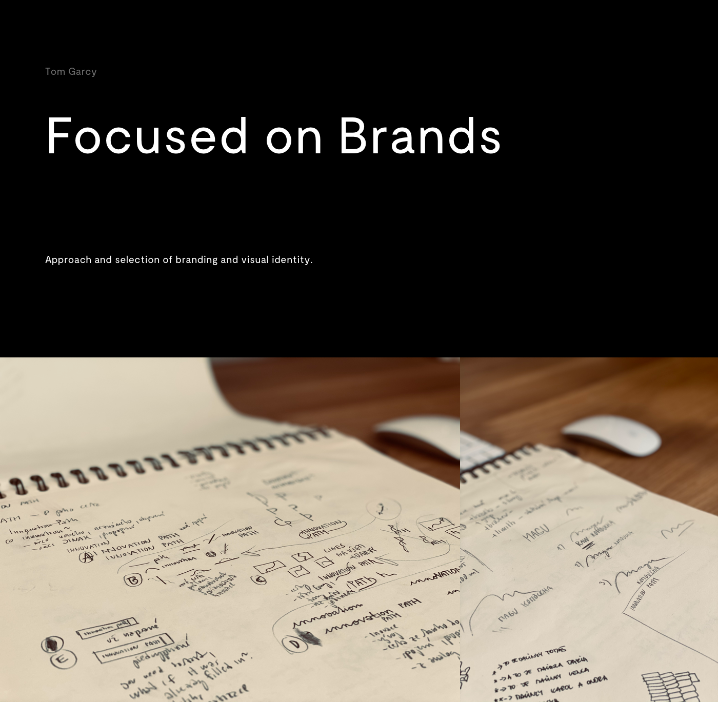 black brand branding  identity logo logodesign Logotype manual typography   visual identity