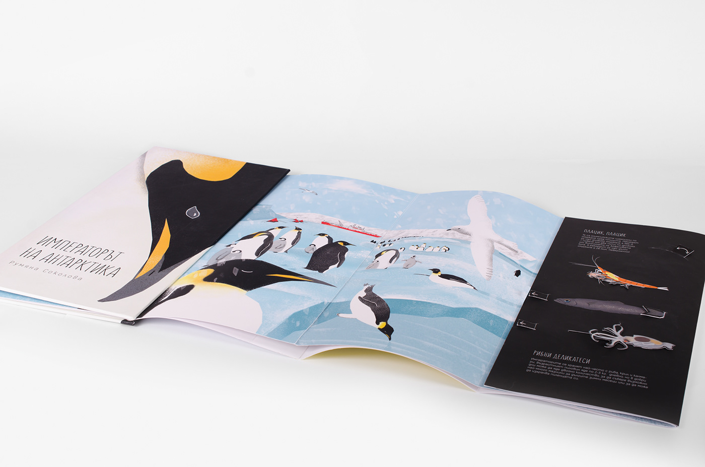 pop up children penguins book mechanism paper ILLUSTRATION  photoshop antarctica