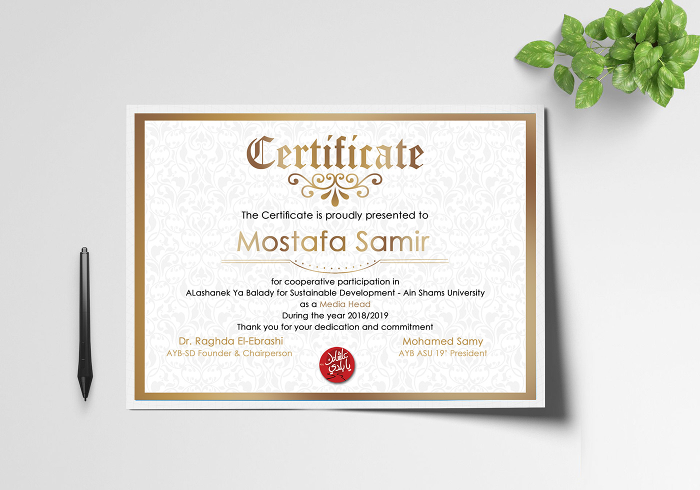 certificate AYB print design 