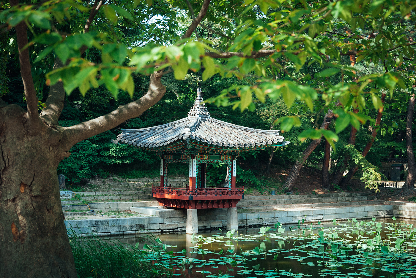 Photography  Travel South Korea seoul Palaces secret garden lightroom photo editing architecture Nikon