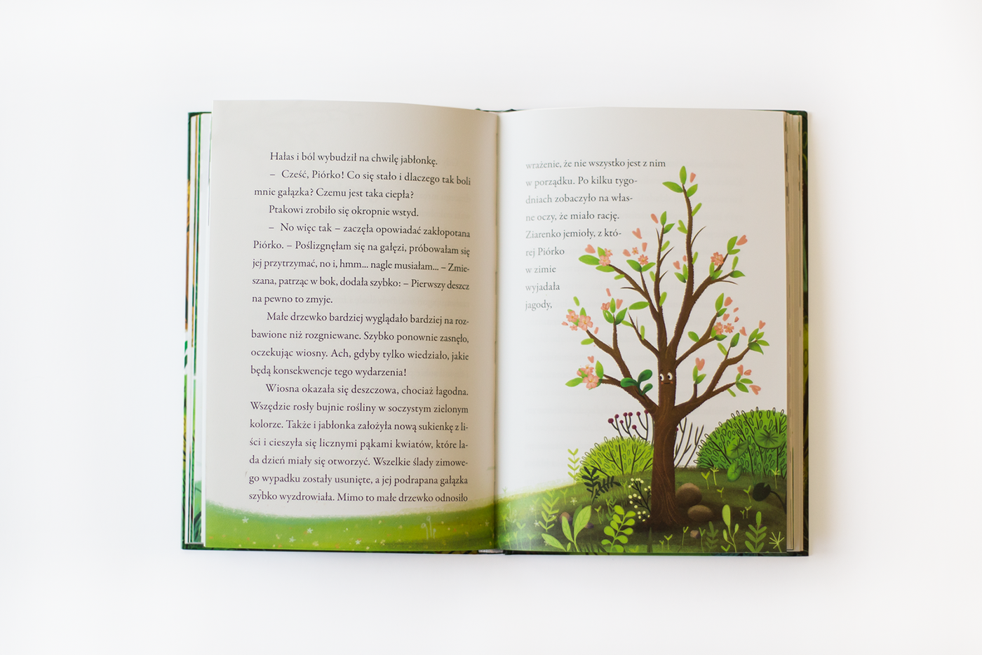 book children book cover trees apples animals child book design Nature children illustrations