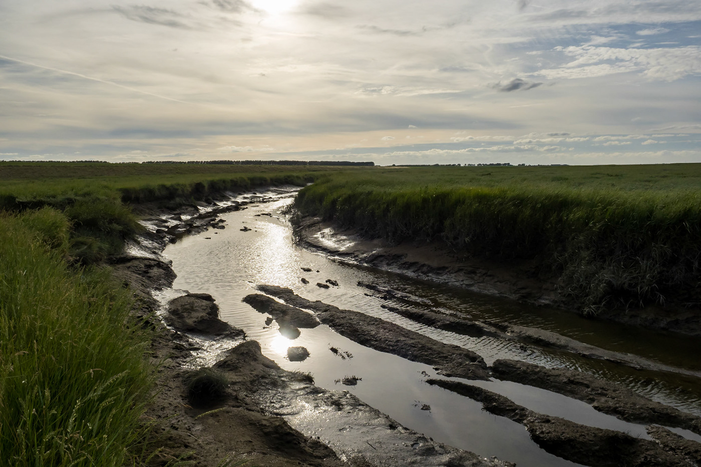 Landscape landscapephotography Leftbank Nature Netherlands olympus reserve river scheldt